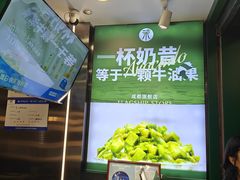 -茉酸奶(春熙路店)