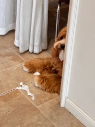 -WAVE SODA摄影工作室