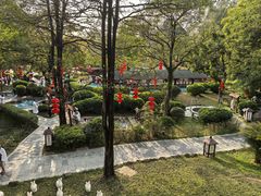 -森波拉火山温泉