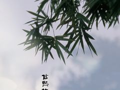 -南京市民俗博物馆(甘熙宅第)