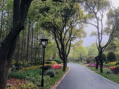 -西郊宾馆·1921餐厅