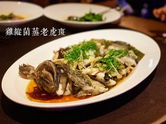 鸡纵菌蒸老虎斑-三利音·东方司宴(外滩店)