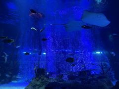 -沈阳海洋探索中心