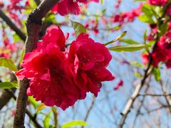 -相门城墙文化休闲景区