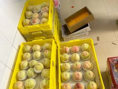 -老袁家蜜桃农场·阳山水蜜桃