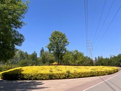 -坝河休闲公园