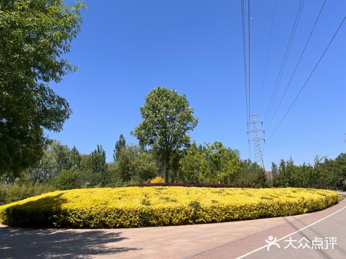 坝河休闲公园图片