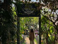 -正佳雨林生态植物园