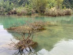 -靖西鹅泉风景区