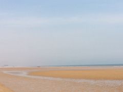 -日照海滨国家森林公园