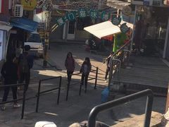 -猫咪博物馆(顶澳仔猫街店)