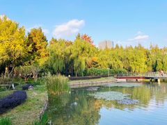 -新虹桥中心花园