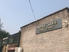 门面-苹果树下艺术餐厅(宋庄店)