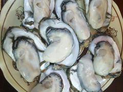 -大湾区中央湿地公园-十九涌