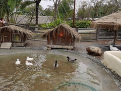 -珠海海泉湾神秘岛亲子乐园