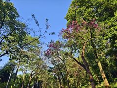 -云溪植物园