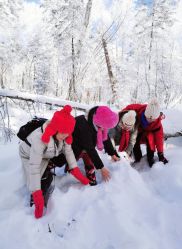 -大秃顶子山