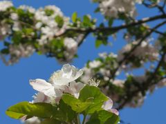 -北海公园-停车场