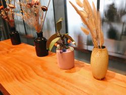 -菲林婚纱摄影工作室