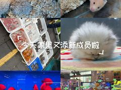 -青石桥花鸟鱼虫市场(叠翠城店)