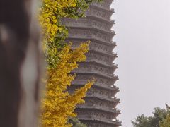 -玲珑塔公园