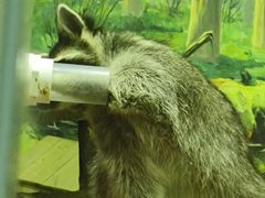 -大连圣亚海洋世界