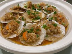 蒜蓉扇贝-金美华轩(东方路齐鲁店)