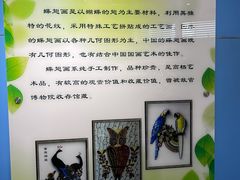 -上海昆虫博物馆