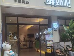 -乍甸乳业鲜奶吧(红河水乡店)