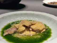 -子福慧(虹桥店)