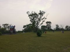 -上海崇明金茂凯悦酒店