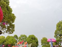 -九龙湖公园