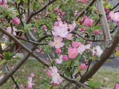 -瑶湖郊野森林公园
