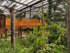 -呀路古热带植物园