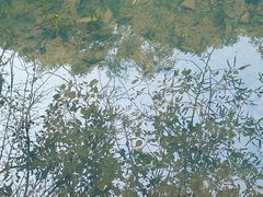 -伏羲大峡谷