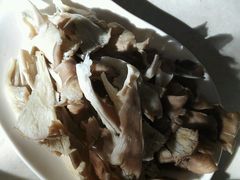 -万宝宝芝林(北辰店)