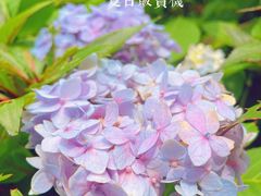 -华南国家植物园-售票处