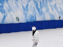-哈尔滨热雪奇迹