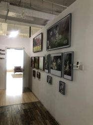 点击看大图 -苹果树儿童摄影工作室
