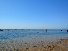 -碣石国家级海洋公园