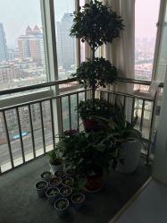 G+ YOGA-GRACE格瑞斯瑜伽馆
