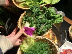 -大龙燚·旷野鲜火锅(广州首店)
