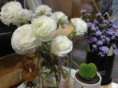 -东吴霸王兔(松青路店)