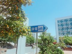 -同济大学四平路校区游泳馆