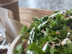 -油梨树AVOCADO TREE(望京店)