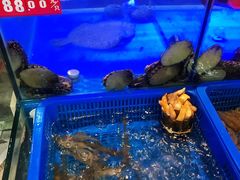-小龍鳳·港式海鲜打边炉(沙湖路店)