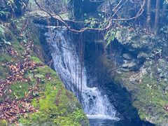 -夏霖九天银瀑风景区