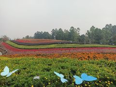 -天府芙蓉园