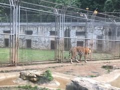 -黔灵山公园