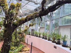 -国家植物园南园